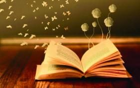 Livre ouvert 768x480