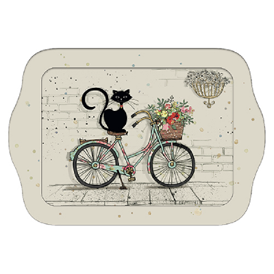 Plateau chat vélo