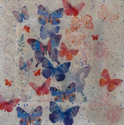 Plateau papillon